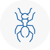 Ant Removals In Burntwood