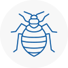 Bed Bug Extermination In Burntwood