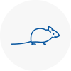 Mice Exterminators In Burntwood