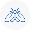 Moth Control Specialists In Burntwood
