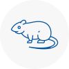 Rat Control Burntwood