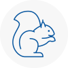 Burntwood Rodent Removals