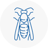 Burntwood Wasp Nest Removal
